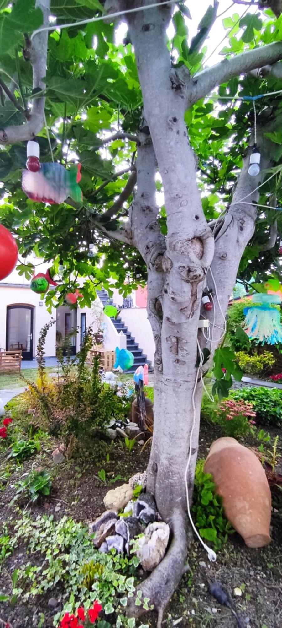 Hostel Namor รีบาเดโอ ภายนอก รูปภาพ
